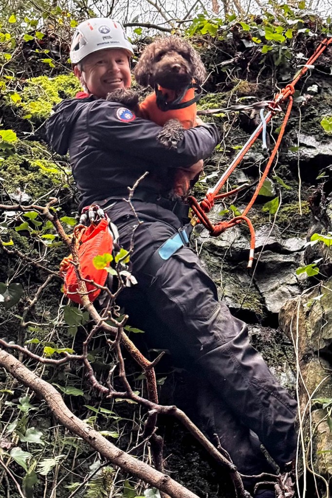 Rescuers retreived the dog from the ledge. Photo: Keswick MRT