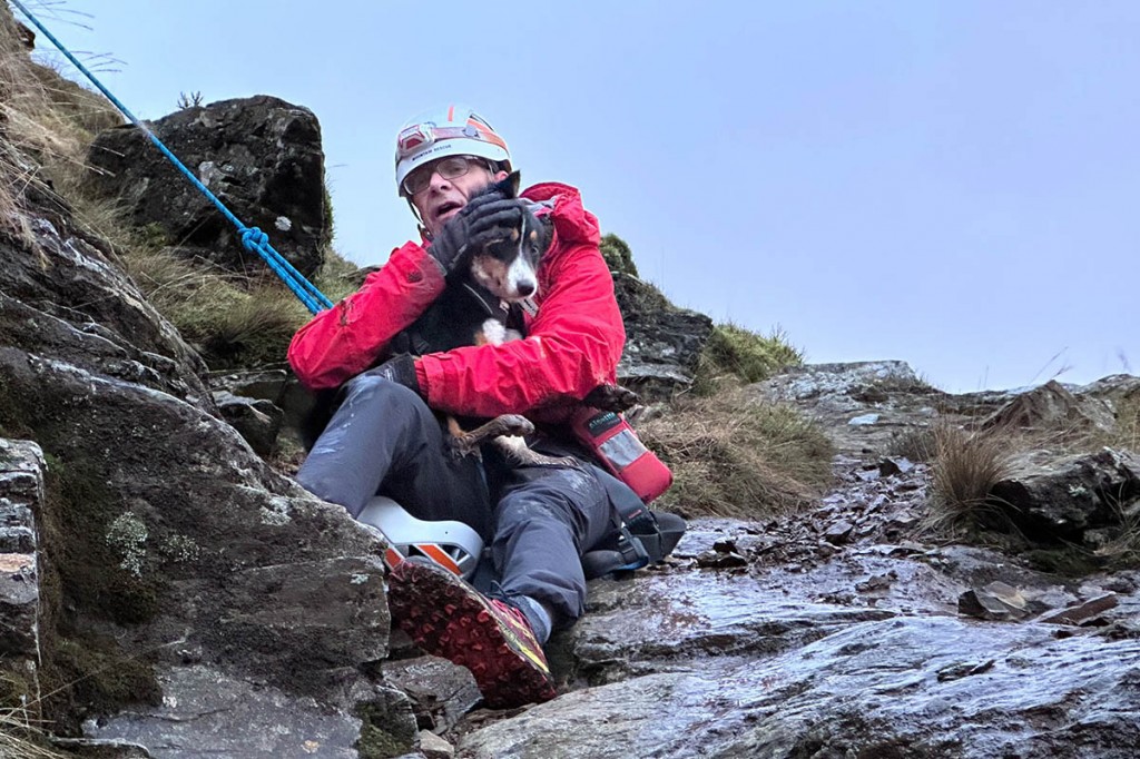 A team member was lowered to the dog's location. Photo: Keswick MRT