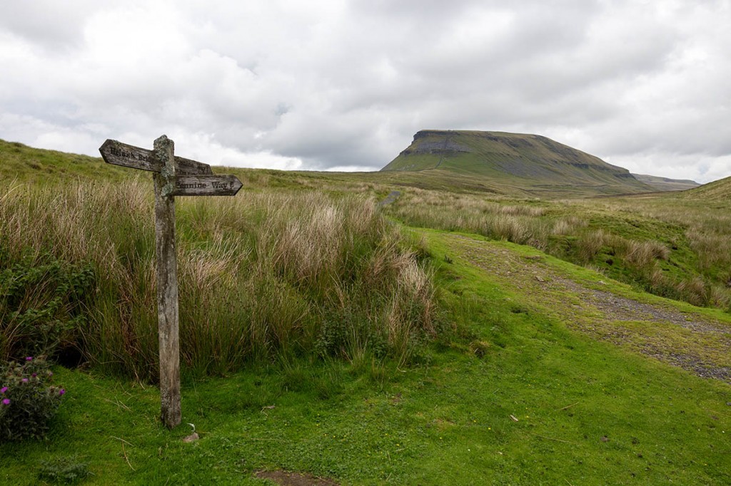 Pen-y-ghent. Photo: Bob Smith Photography