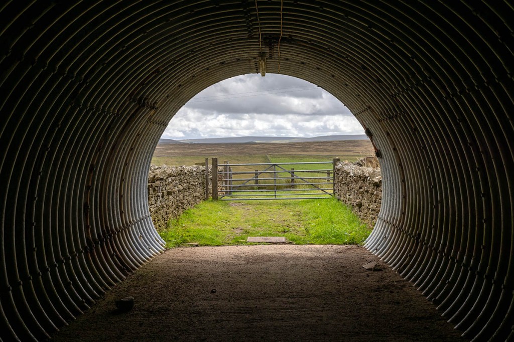 Half way there: the view from under the A66. Photo: Bob Smith Photography